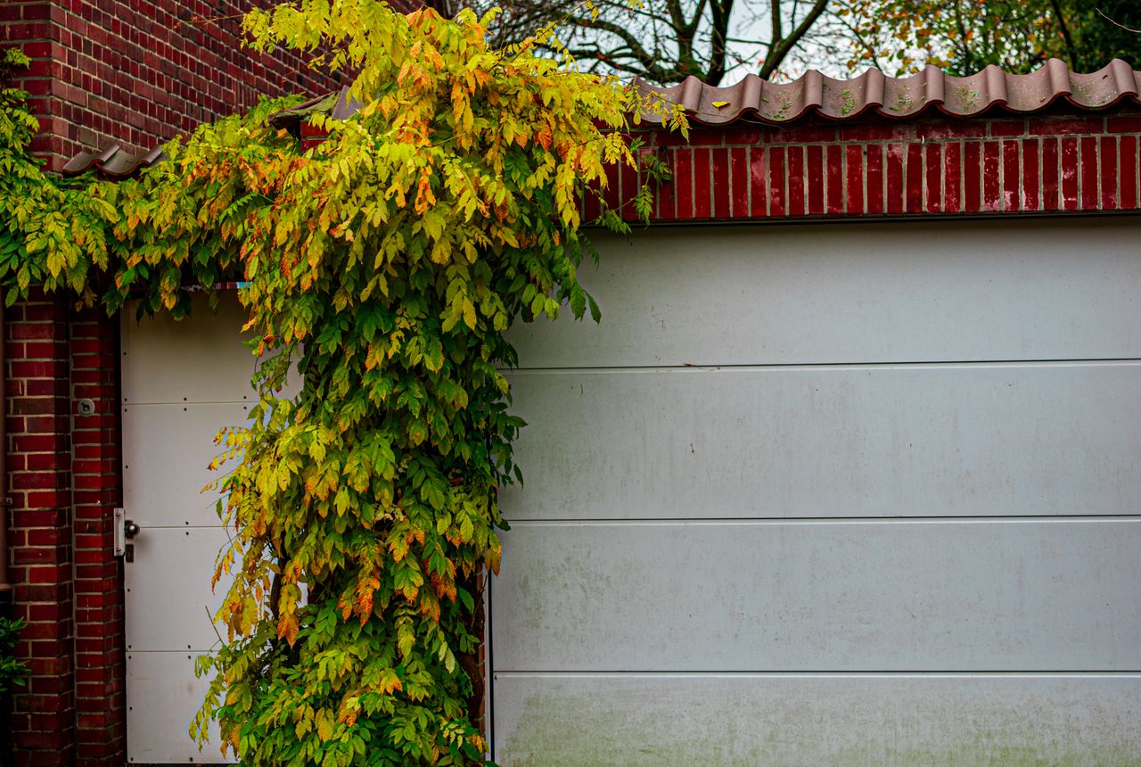 Garage door service in Vero Beach, FL